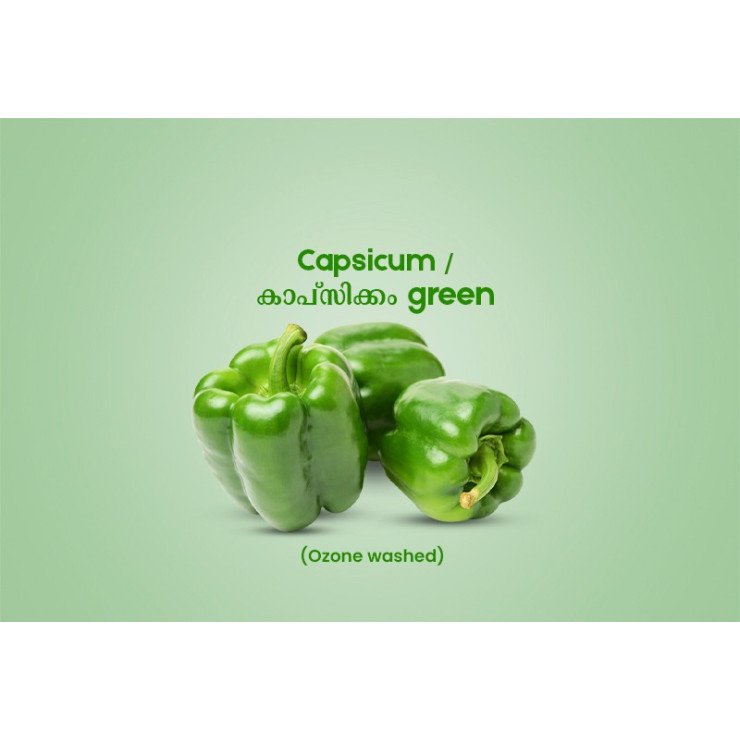 Capsicum Green / കാപ്സിക്കം Green 100gm - 150gm (Ozone Washed)